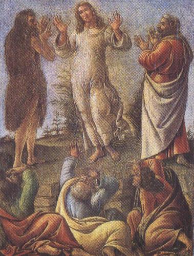 Sandro Botticelli Transfiguration,wtih St jerome and St Augustine (mk36) Spain oil painting art
